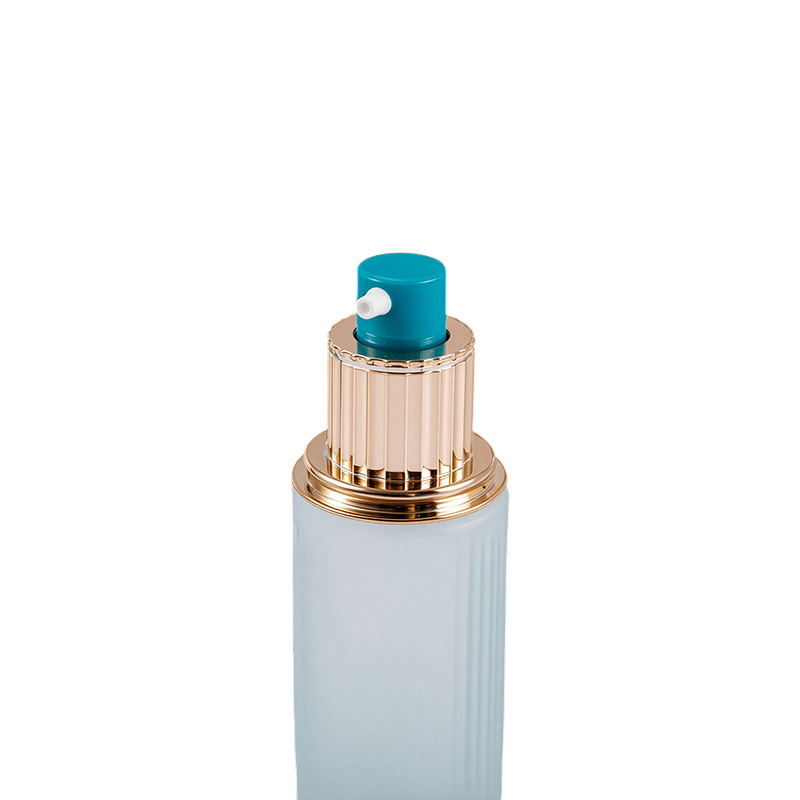 Yerleşik yaylı pompa elemanlı püskürtme pompası Yerleşik yaylı pompa elemanlı püskürtme pompası