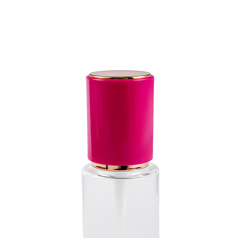 Yerleşik yaylı pompa elemanlı püskürtme pompası Yerleşik yaylı pompa elemanlı püskürtme pompası